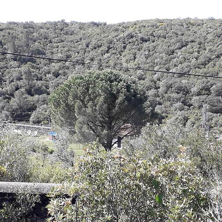 Villa Quinta Da Silva Vale dos Ovos Esterno foto